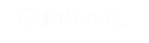 Brineex logo